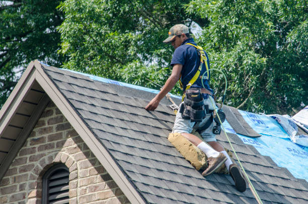 Best Roof Gutter Cleaning  in Louisvle, IL